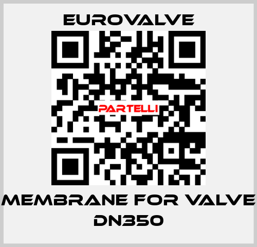 membrane for valve DN350 Eurovalve