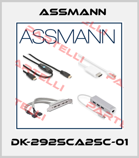DK-292SCA2SC-01 Assmann