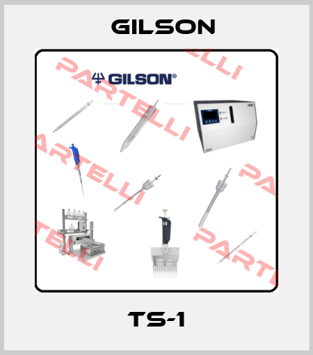 TS-1 Gilson