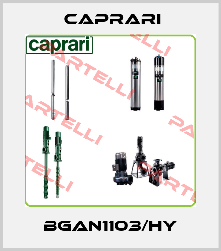 BGAN1103/HY CAPRARI 