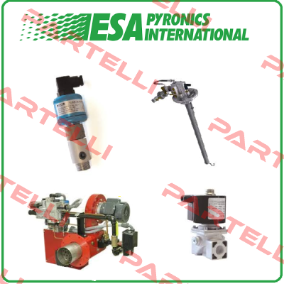 80590 ESA Pyronics International
