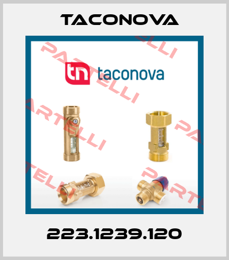 223.1239.120 Taconova