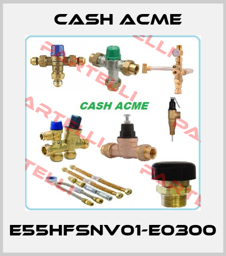 E55HFSNV01-E0300 Cash Acme