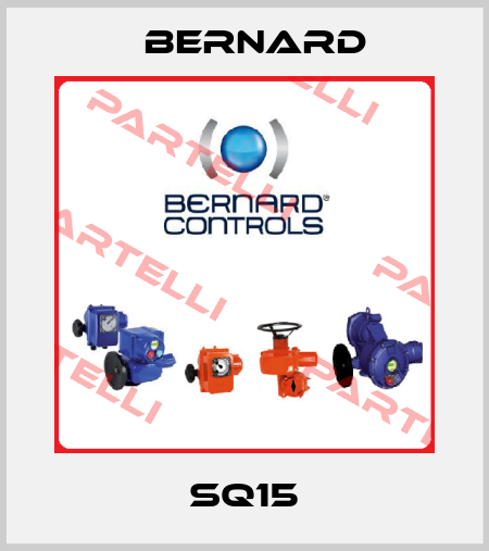 SQ15 Bernard