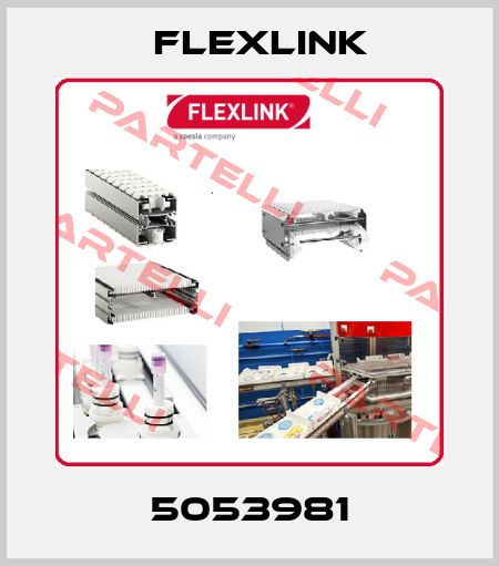 5053981 FlexLink