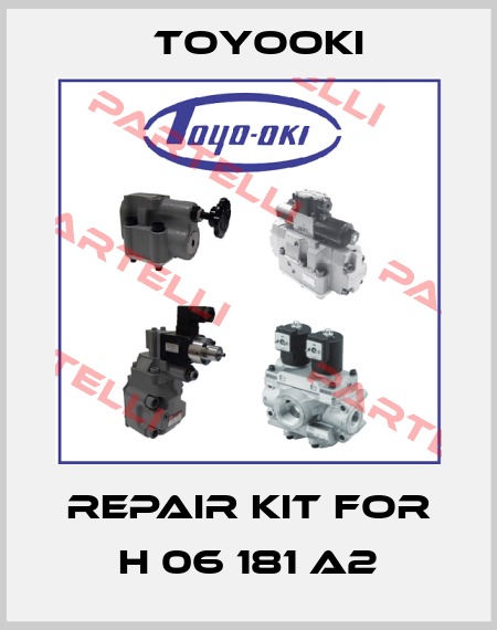 repair kit for H 06 181 A2 Toyooki