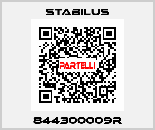 844300009R Stabilus