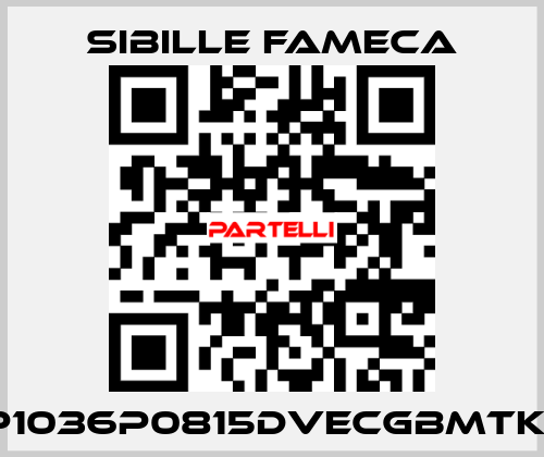VDP1036P0815DVECGBMTKRI1T Sibille Fameca