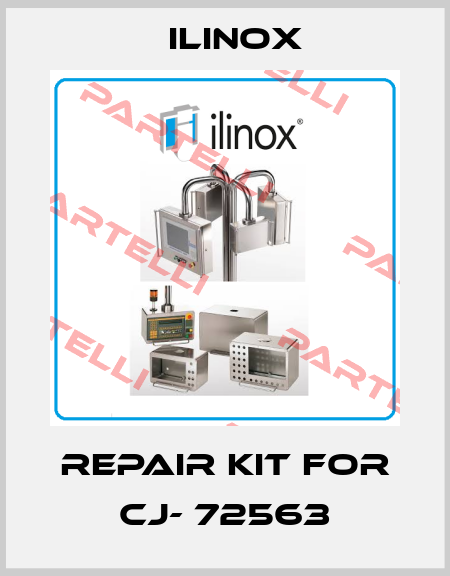 Repair kit for CJ- 72563 Ilinox