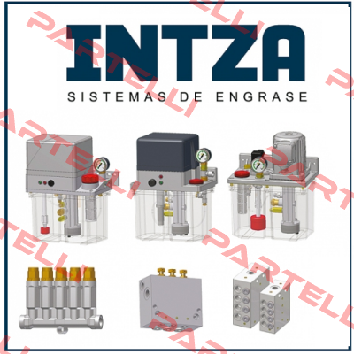 GE11/C-1-253 Intza