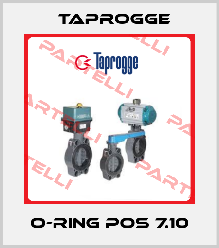 O-ring Pos 7.10 Taprogge