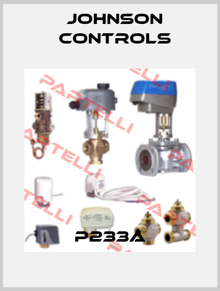 P233A Johnson Controls