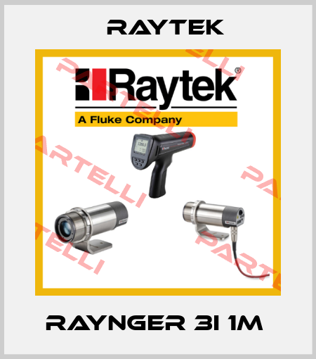 RAYNGER 3I 1M  Raytek