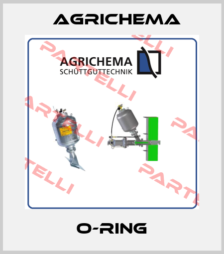 O-ring Agrichema