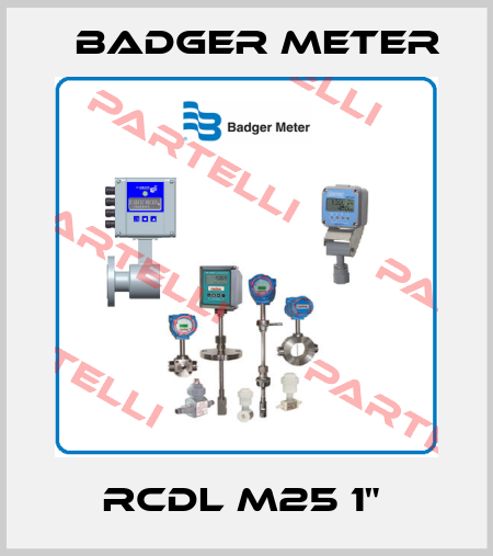 RCDL M25 1"  Badger Meter