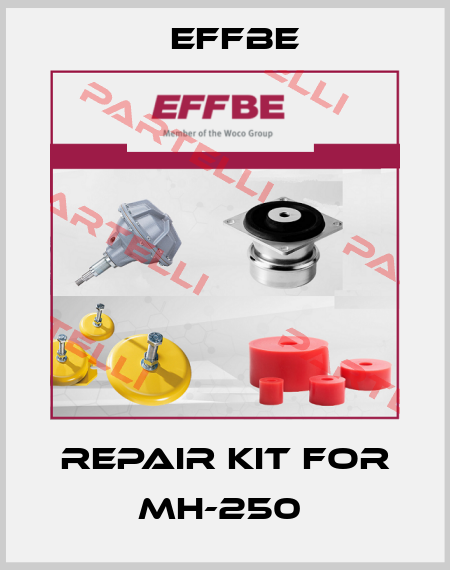 Repair Kit for MH-250  Effbe