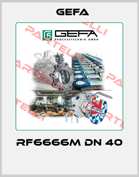 RF6666M DN 40  Gefa