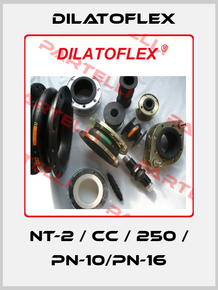 NT-2 / CC / 250 / PN-10/PN-16 DILATOFLEX
