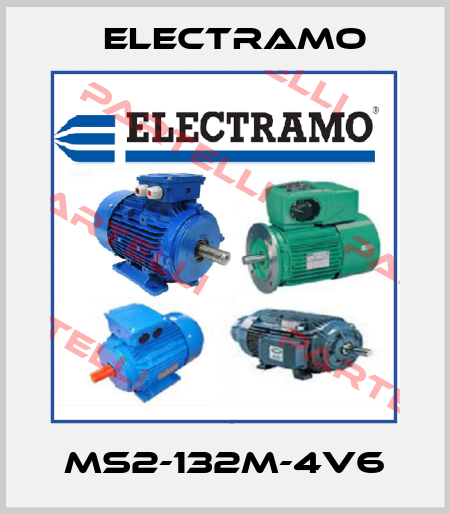 MS2-132M-4V6 Electramo