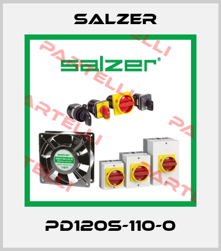 PD120S-110-0 Salzer