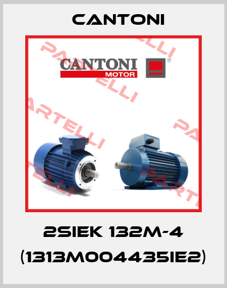2SIEK 132M-4 (1313M004435IE2) Cantoni