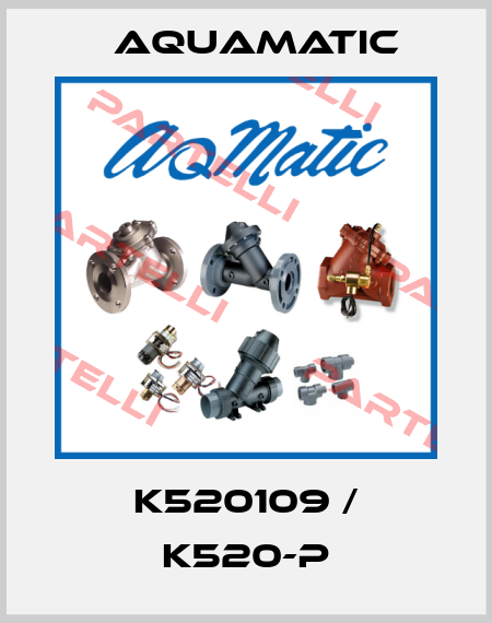 K520109 / K520-P AquaMatic