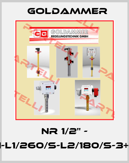 NR 1/2" - L300-01-L1/260/S-L2/180/S-3+PE-24V Goldammer