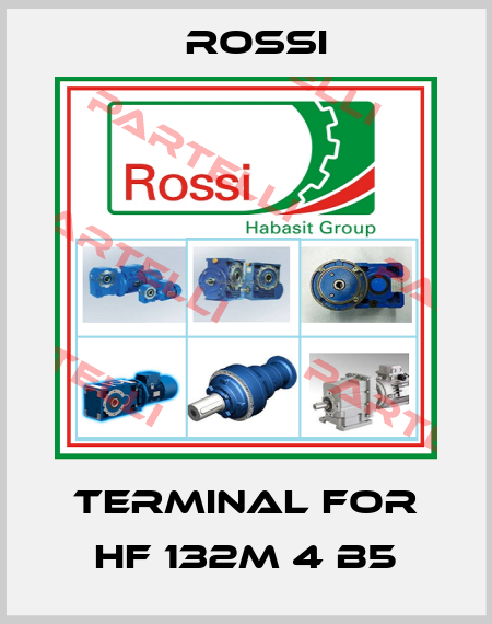 TERMINAL FOR HF 132M 4 B5 Rossi