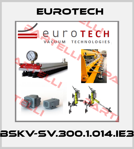 BSKV-SV.300.1.014.IE3 EUROTECH