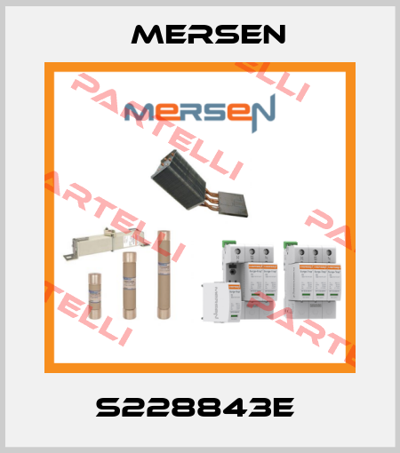 S228843E  Mersen