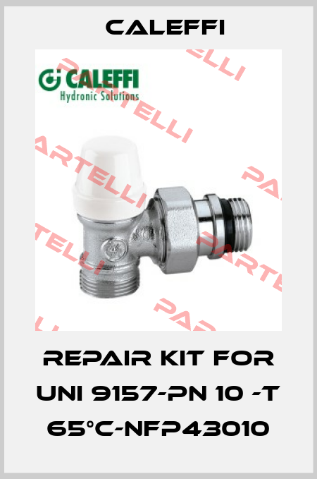 Repair kit for UNI 9157-PN 10 -T 65°C-NFP43010 Caleffi