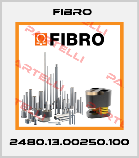 2480.13.00250.100 Fibro