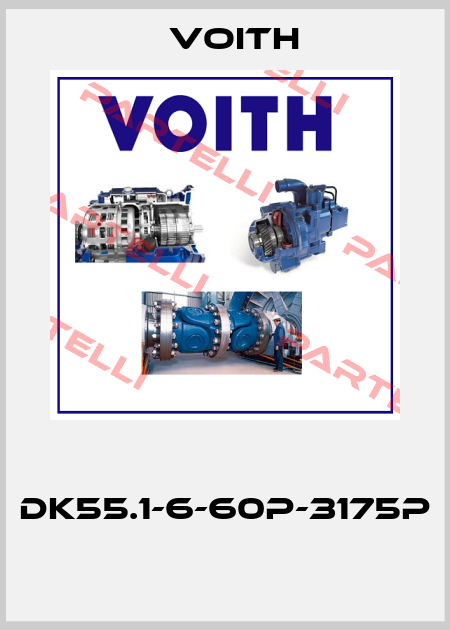  DK55.1-6-60P-3175P  Voith
