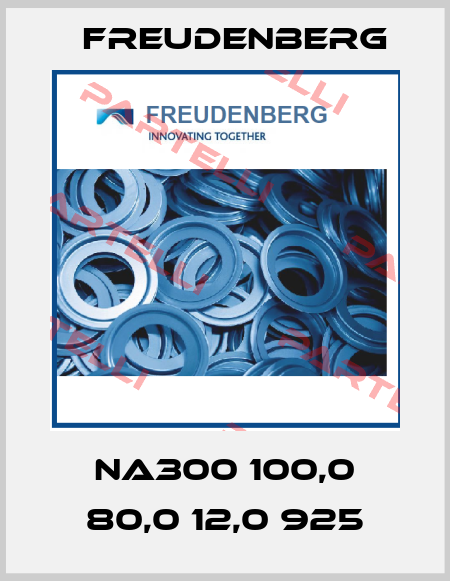 NA300 100,0 80,0 12,0 925 Freudenberg