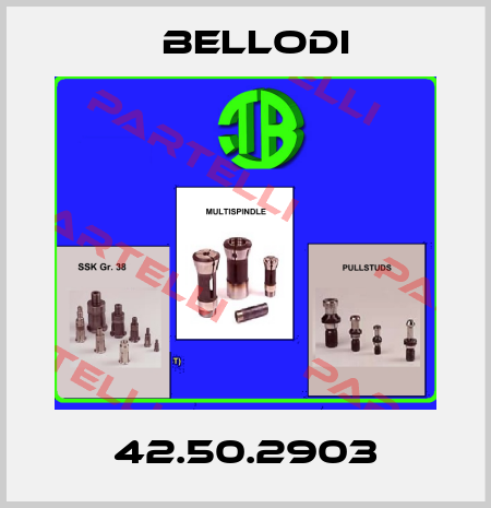 42.50.2903 Bellodi