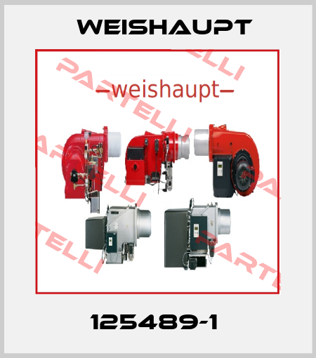 125489-1  Weishaupt