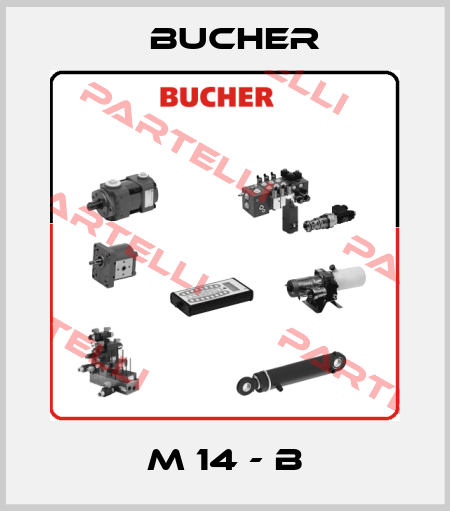M 14 - B Bucher