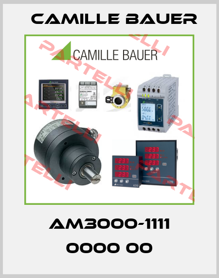 AM3000-1111 0000 00 Camille Bauer