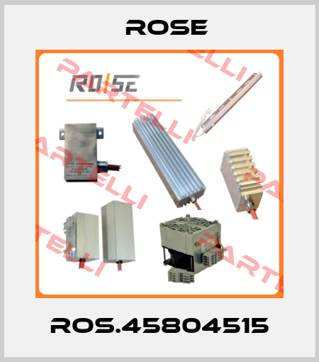 ROS.45804515 Rose