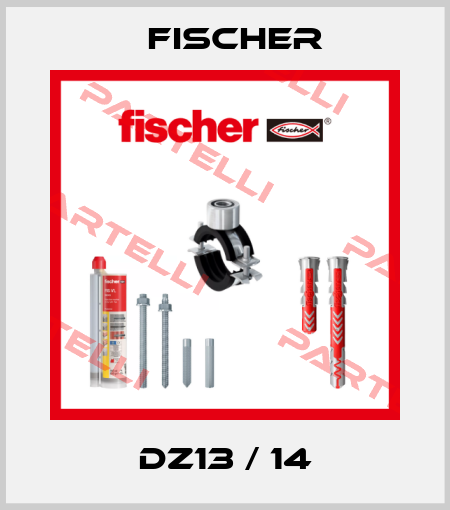 DZ13 / 14 Fischer