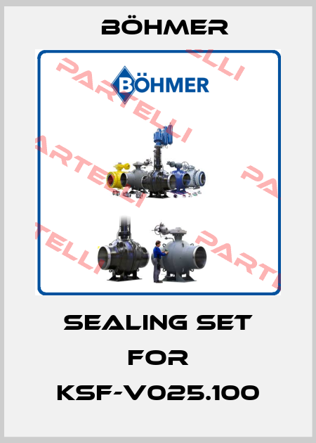 Sealing set for KSF-V025.100 Böhmer