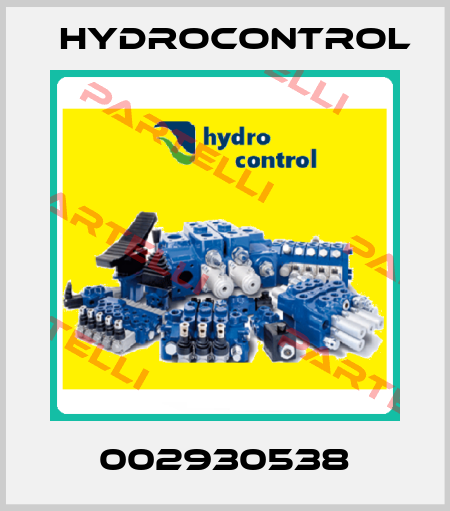 002930538 Hydrocontrol
