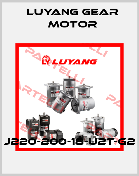 J220-200-18-U2T-G2 Luyang Gear Motor