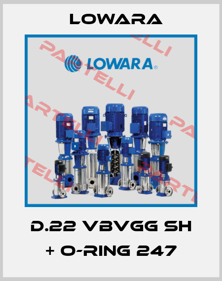 D.22 VBVGG SH + O-RING 247 Lowara