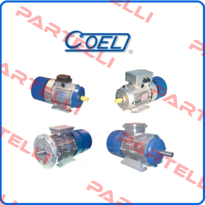 3446 (MOT.MH63C4 B5 KW0.13 V.110/50-60) Coel