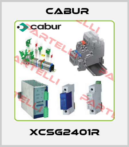 XCSG2401R Cabur