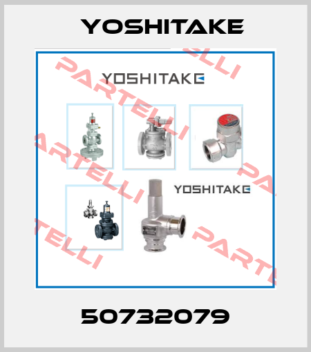 50732079 Yoshitake