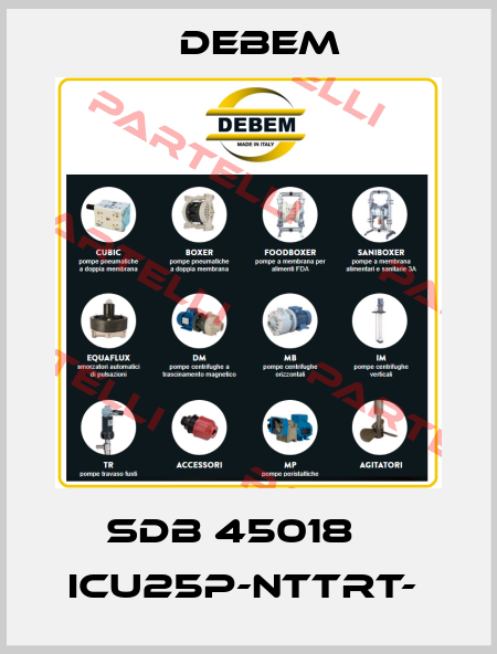 SDB 45018    ICU25P-NTTRT-  Debem