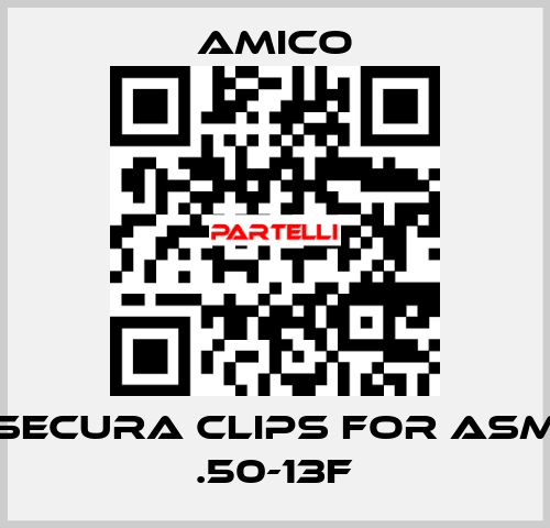 Secura Clips for ASM .50-13F AMICO