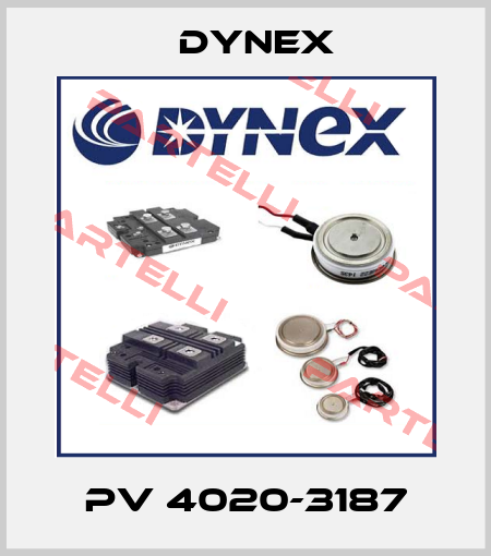 PV 4020-3187 Dynex
